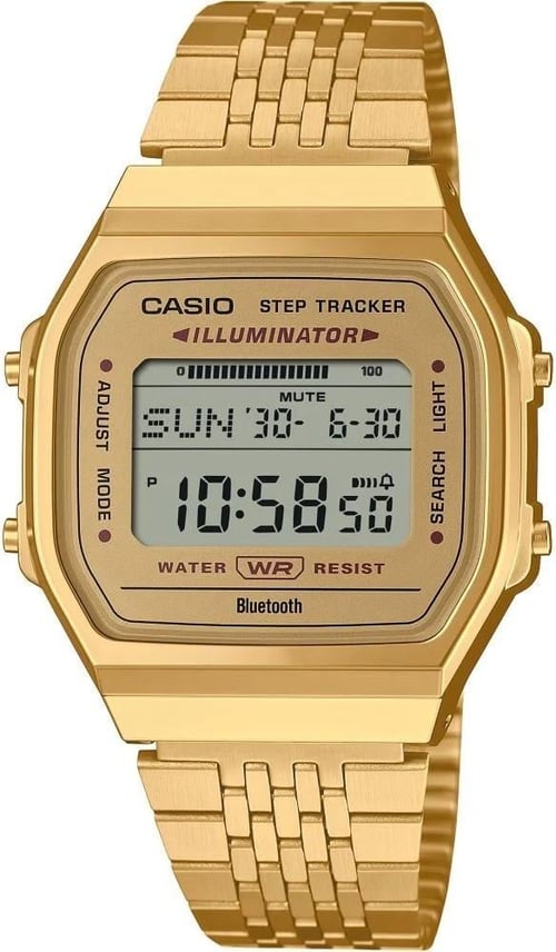 Casio Retro Kol Saati ABL-100WEG-9ADF