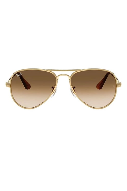 Ray-Ban RB 3925 001/51 .58 Unisex Güneş Gözlüğü