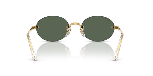 Ray-Ban RB 3929 001/71 .54 Unisex Güneş Gözlüğü
