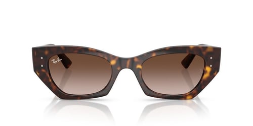 Ray-Ban RB 4430 135913 .49 Unisex Güneş Gözlüğü