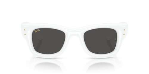 Ray-Ban RB 4940 671/87 .50 Güneş Gözlüğü