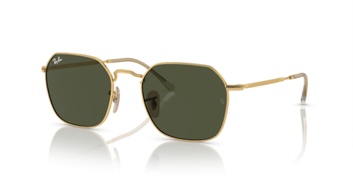 Ray-Ban RB3694 001/31 .55 Güneş Gözlüğü