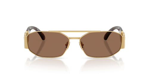 Versace VE 2287 100273 .58 Erkek Güneş Gözlüğü