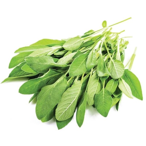 Adaçayı (25 gr) Greenada
