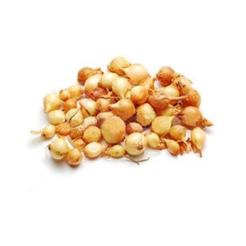 Soğan Arpacık, Niğde (500 gr, File)