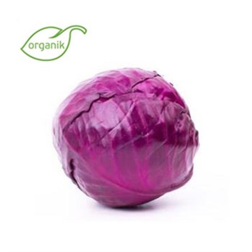 Organik Kırmızı Lahana,(1kg) adet **
