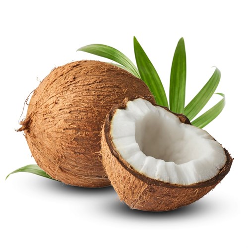 Hindistan Cevizi (adet) Excelente