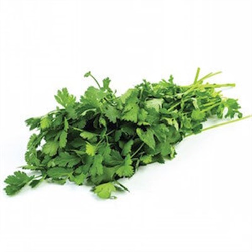 Kişniş (25 gr) Greenada