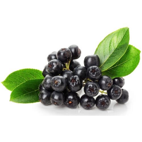 Organik Aronya (100 gr)