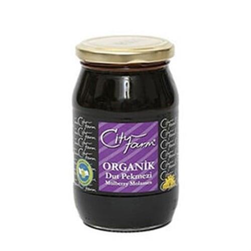 organik-dut-pekmezi-450-gr-cf-15-5da.jpg