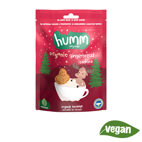 Organik Tarçınlı ve Zencefili Kurabiye (55 gr) Humm