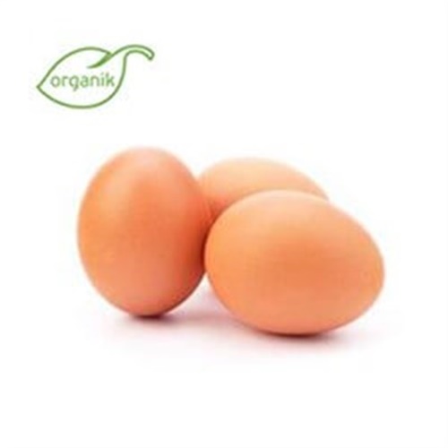 Organik Yumurta (10'lu) Bio Yaşam