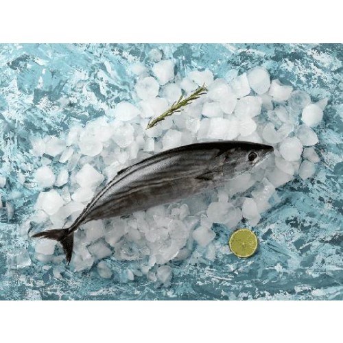 Palamut Taze, Takoz Dilim (800-1000 gr) Balık Ye