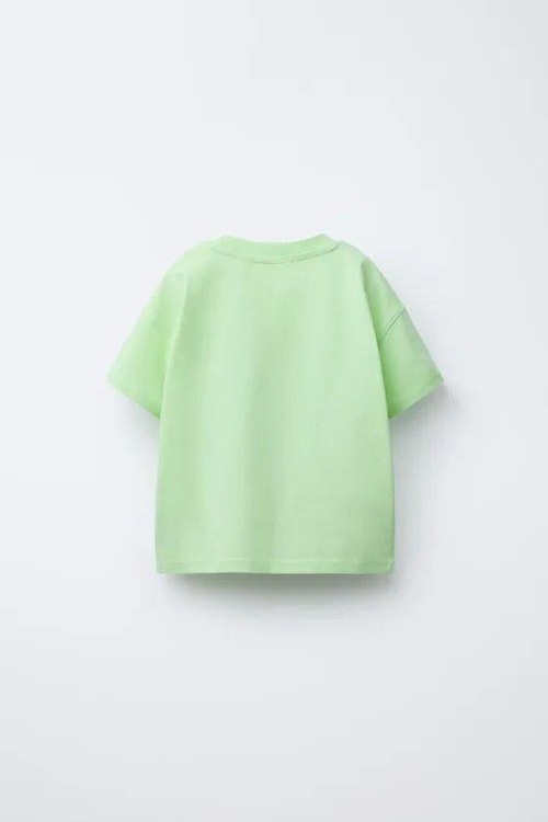 Erkek Çocuk Pamuklu Yeşil Timsah Baskılı T-Shirt ve Çizgili Eşofman Takım