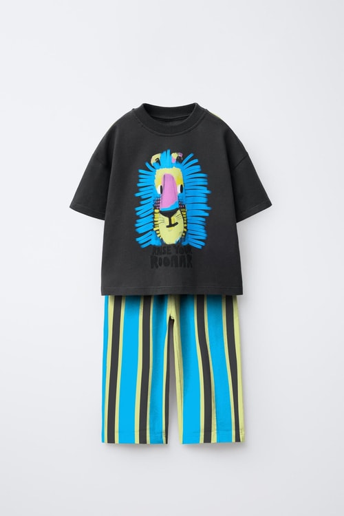 Erkek Çocuk Pamuklu Antrasit Aslan Baskılı T-Shirt ve Çizgili Eşofman Takım