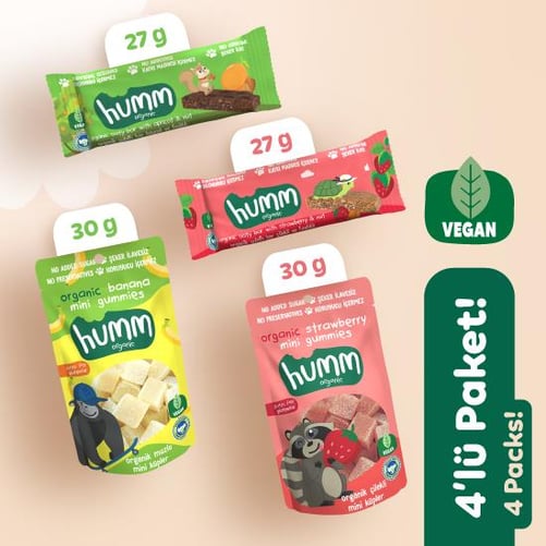Organik Vegan Meyveli Küp Yulaf Bar Atıştırmalık Paketi 4 adet (4 çeşit) görseli.