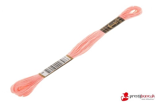 Anchor Muline Nakış İpliği 0008
