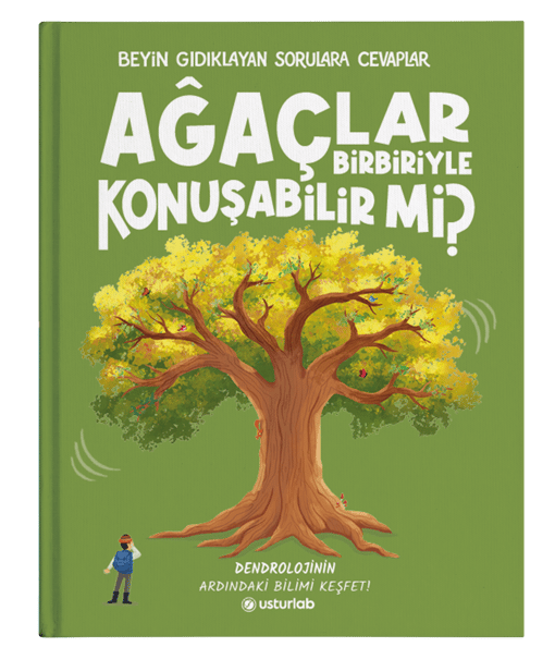Beyin Gıdıklayan Sorulara Cevaplar Seti (3 Kitap)