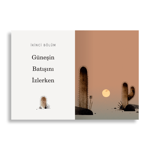Bir Şapka Bulduk