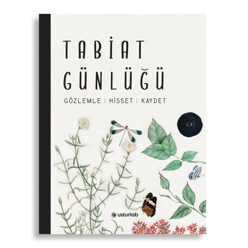 Özgür Çizgiler ve Sanat Kaşifi Seti (3 Ürün)
