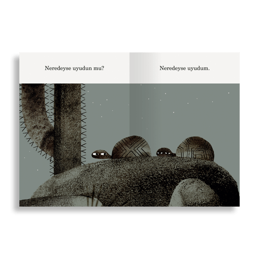 Şapka Üçlemesi | Jon Klassen (3 Kitap)