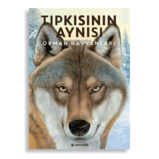 Tıpkısının Aynısı: Orman Hayvanları
