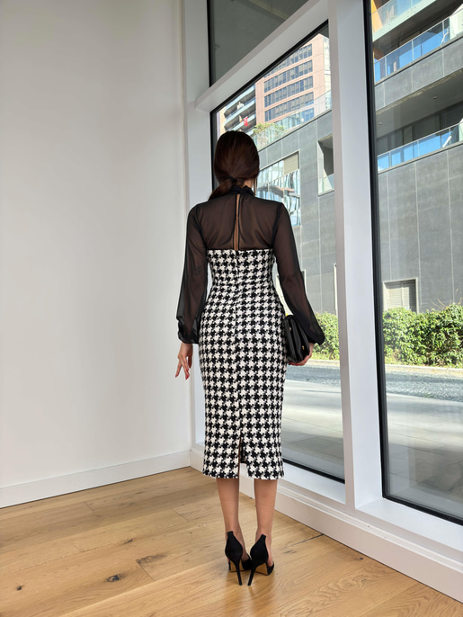 Delwin elbise 25K302