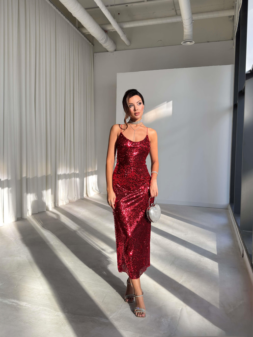 Earle pullu Elbise 26K229