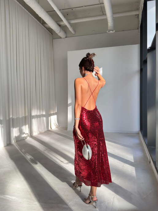 Earle pullu Elbise 26K229