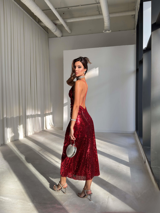 Earle pullu Elbise 26K229