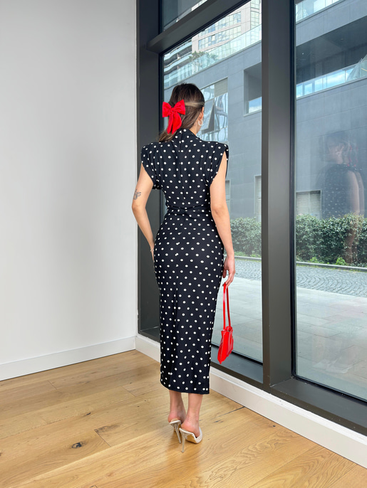 Raziana Elbise 25Y210