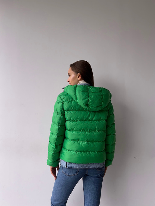 Taremi Mont 23K000276