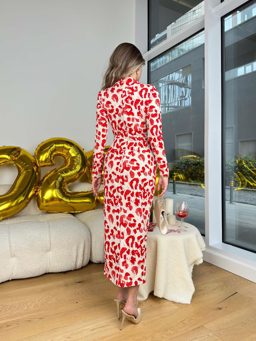 ZARLİ ELBİSE 25K420