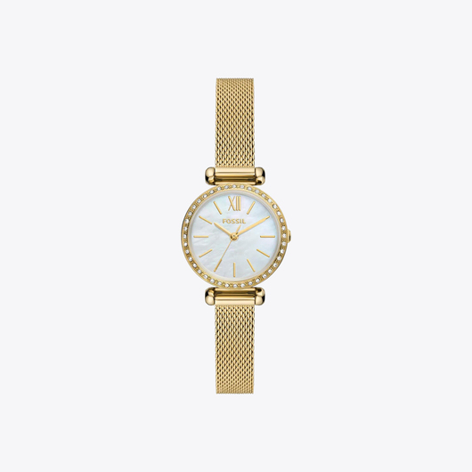 Fossil Saat