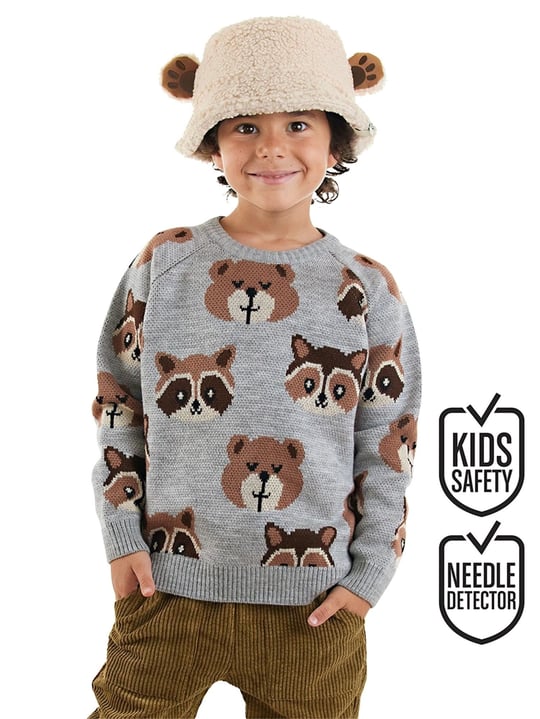 Denokids Erkek Çocuk Ayı Rakun Triko Kazak Gri CFF-25S1-065