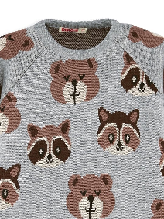 Denokids Erkek Çocuk Ayı Rakun Triko Kazak Gri CFF-25S1-065