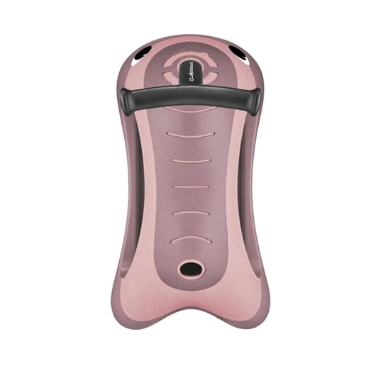 Globber Walk NRoll 2 in 1 Ecologic Berry 830-510