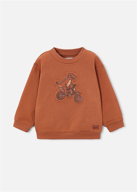 Mayoral Erkek Çocuk Baskılı Sweatshirt Kiremit 4459