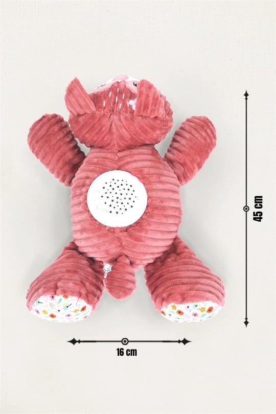 Prego Müzikli ve Gece Işıklı Ceylan P210622
