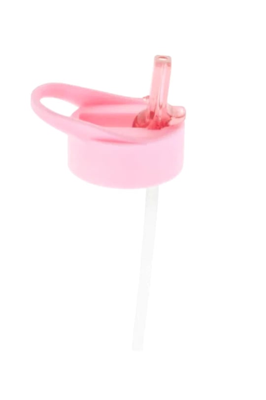 Stephen Joseph Pipetli Paslanmaz Çelik Suluk Pembe Dinozor SJ117559A