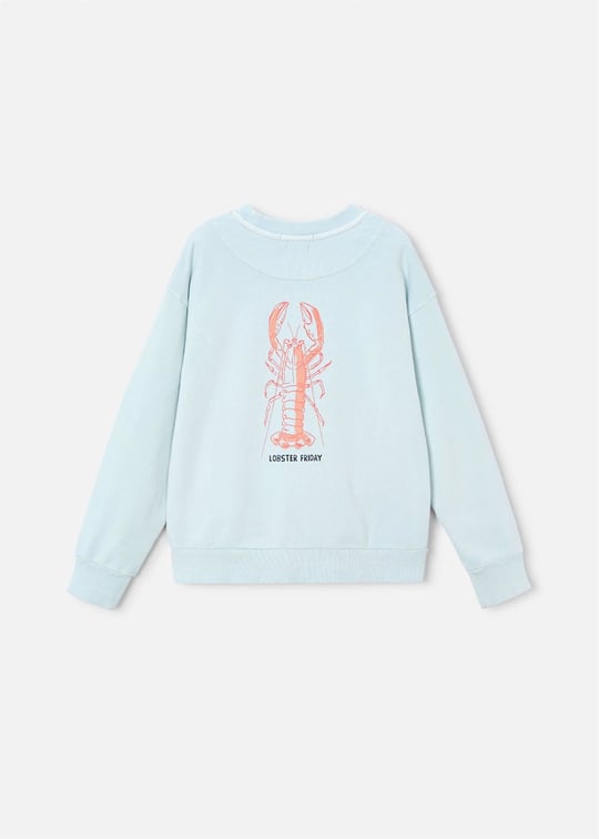 The Boston Kids Erkek Çocuk Baskılı Sweatshirt Mavi 6420