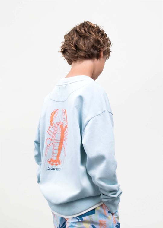 The Boston Kids Erkek Çocuk Baskılı Sweatshirt Mavi 6420