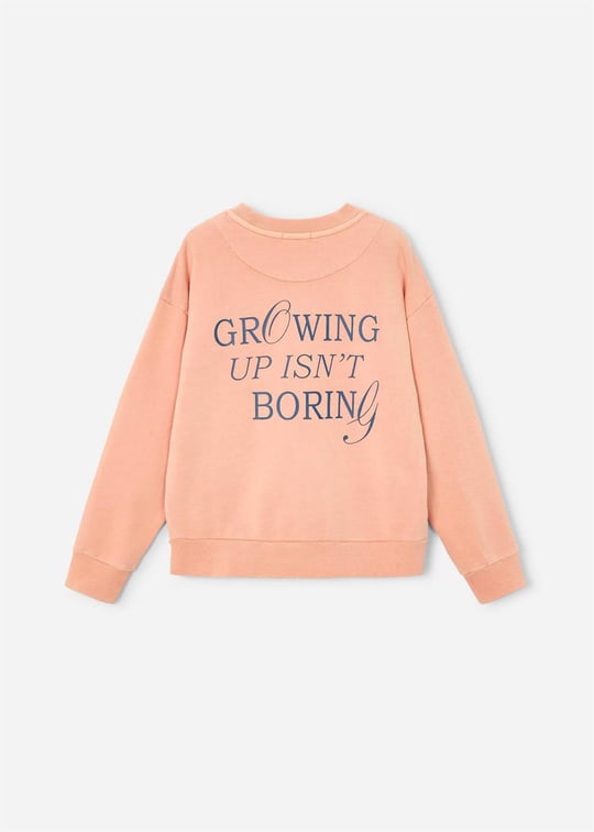 The Boston Kids Erkek Çocuk Baskılı Sweatshirt Somon 6421