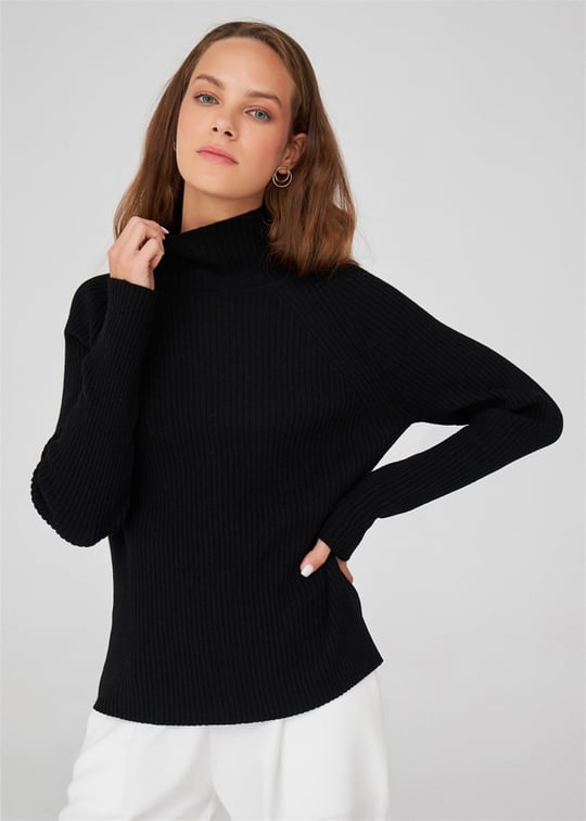 Peraluna Turtleneck Cashmere Blend Slim Fit Women Knitwear Sweater - Black