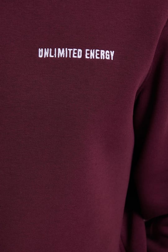 Erkek Relax Fit Pamuklu 3 İplik Yumuşak Dokulu İçi Polarlı Bisiklet Yaka Bordo Eşofman Takımı