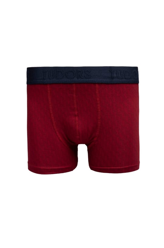 Erkek 2li Pamuk Likralı Premium Seri Esnek Kumaş Boxer