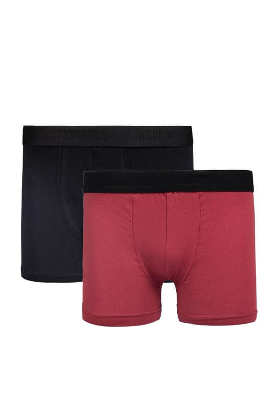 Erkek 2'li Pamuk Likralı Esnek Kumaş Boxer