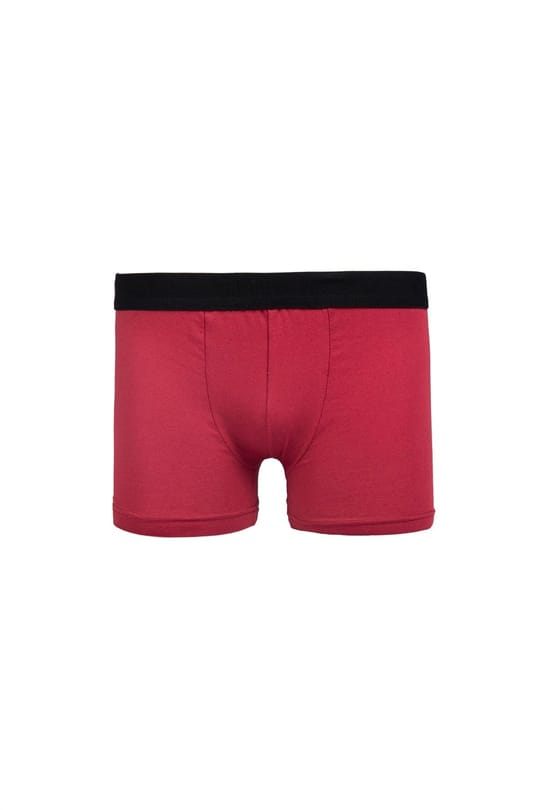 ERkek 2li Pamuklu Likralı Esnek Kumaş Boxer