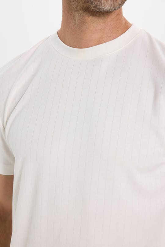 Erkek Regular Fit Klasik Kesim Kısa Kollu Çizgili Beyaz Bisiklet Yaka Tişört
