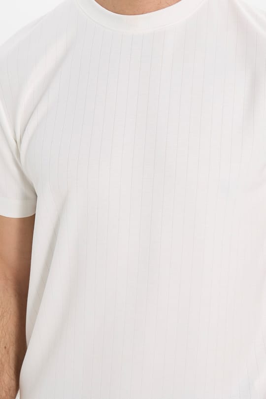 Erkek Regular Fit Klasik Kesim Kısa Kollu Çizgili Beyaz Bisiklet Yaka Tişört